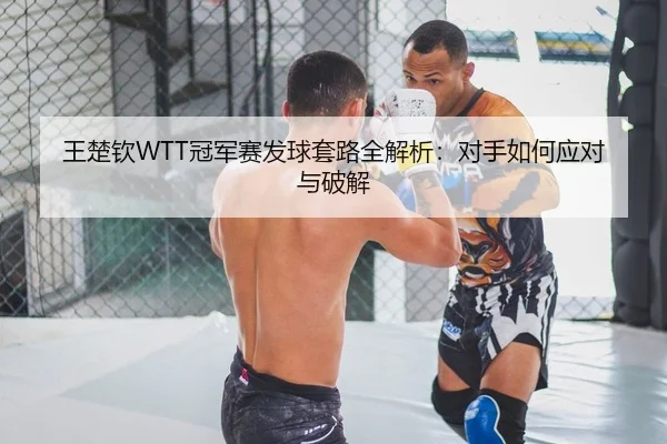 王楚钦WTT冠军赛发球套路全解析：对手如何应对与破解